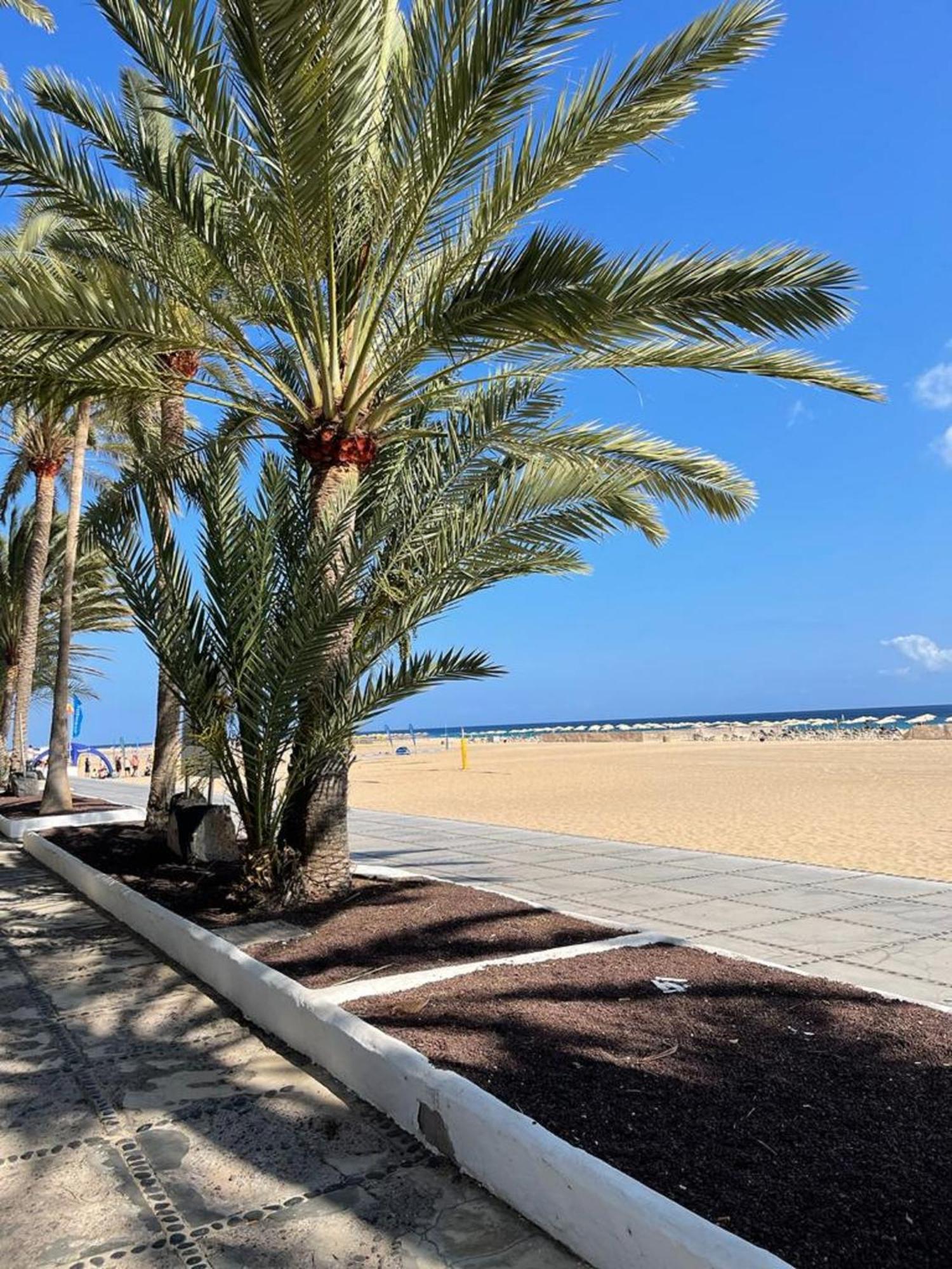 Playa JandiaCasa Reina公寓 外观 照片